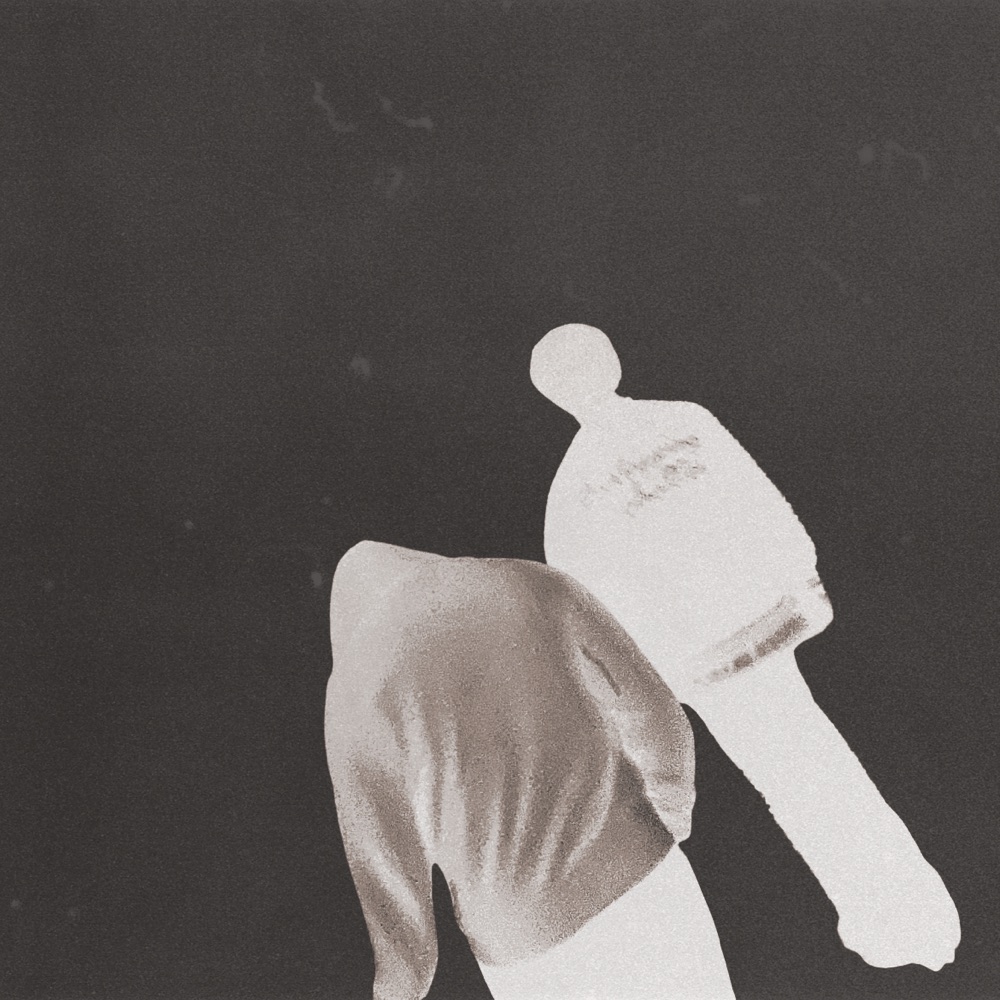 shame album cover